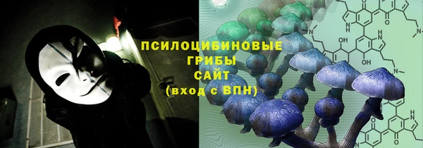 ПСИЛОЦИБИНОВЫЕ ГРИБЫ Балабаново