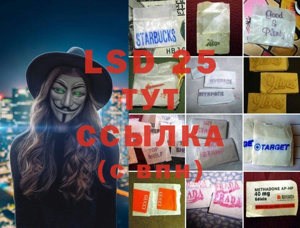 ПСИЛОЦИБИНОВЫЕ ГРИБЫ Балабаново